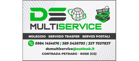 DS Multiservice